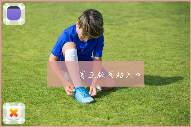 開雲體育正版网站入口