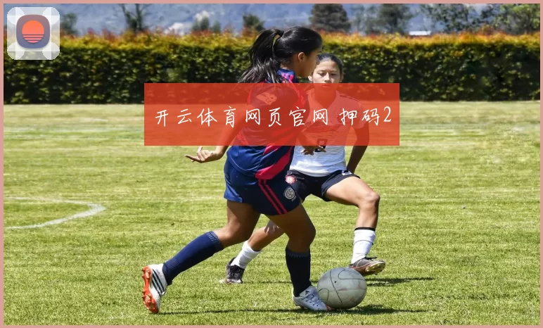 开云体育网页官网 押码2
